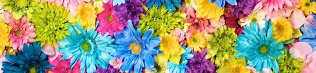 栗倉佳奈's header image