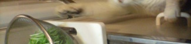 ゆかちそ's header image