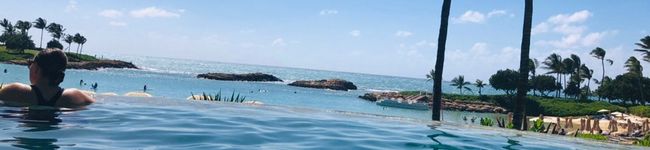 namycco's header image