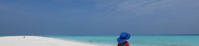 Scawa's header image