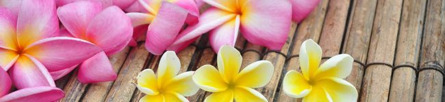 marキッチン's header image