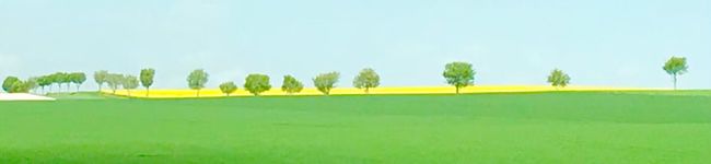 usaandmol's header image