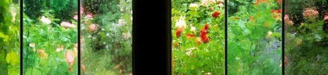 u_mi_n's header image