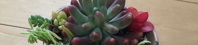 hinataraco's header image