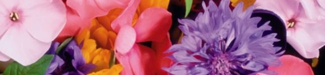 くろかなchan's header image