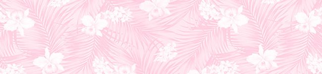 junjunpy's header image