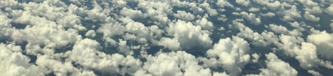 saitomiho's header image