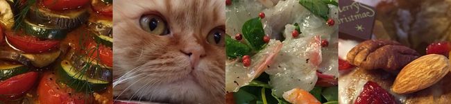 zabiaki's header image