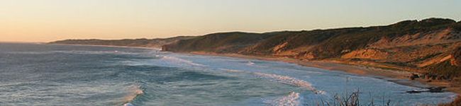 pooc's header image