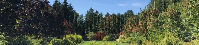 puskin's header image