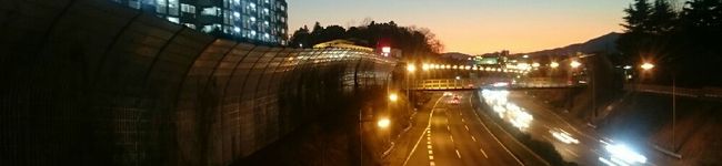 花と樹のまま's header image