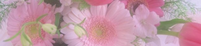 mokko's header image
