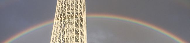 yori1121's header image