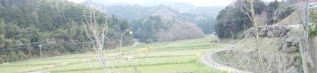 noaさん's header image