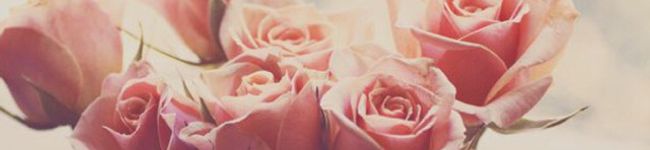 mimimilke's header image
