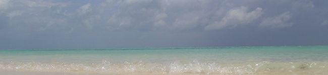 彩cucinare's header image
