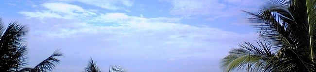 POOHニャン's header image