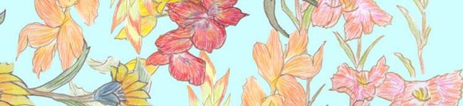 ゅちん's header image