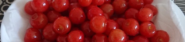emipocco's header image