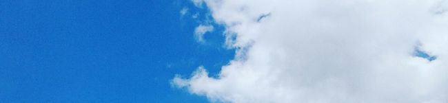 taekkomama's header image