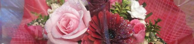 pinkpanda☆'s header image