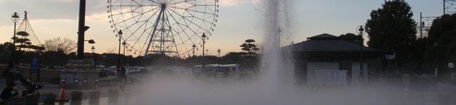 はるりんぷーさん's header image