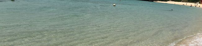 ぴたまま's header image