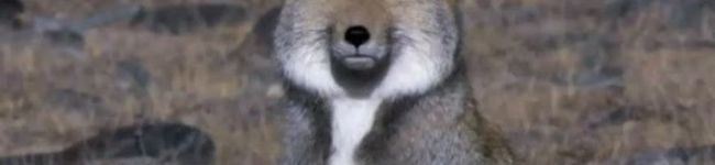 rena1221's header image