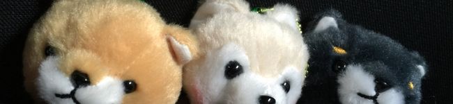jiji猫's header image