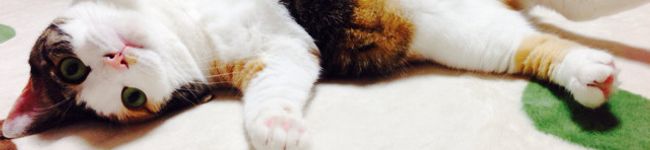 ごま♡'s header image