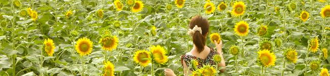 あいぽん♫'s header image