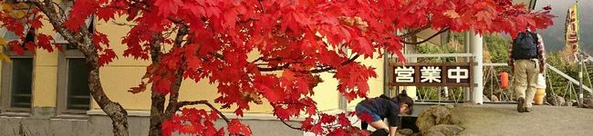 ♡大臣と姫達のママ♡'s header image