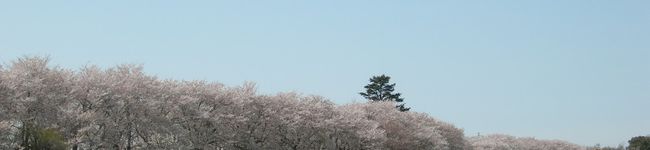 rasuku0058's header image