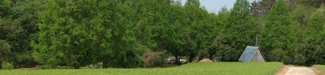 ｍｉｔｔａｎ0706's header image