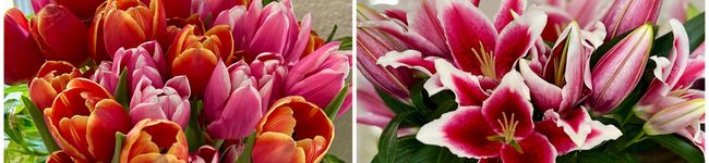 Superlittleboo's header image