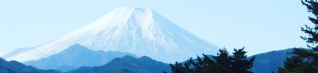 さわさわえりか's header image