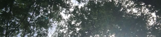 のんし～'s header image