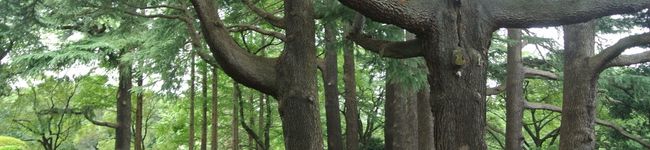 tegos's header image