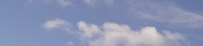 puyopunyu's header image