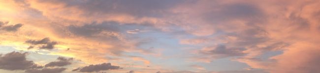 aya_sas's header image