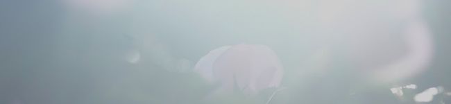 てっちっち's header image