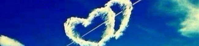 aihamu's header image