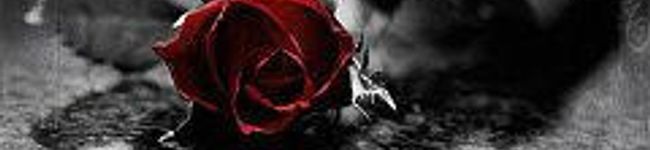 Loyalty's header image