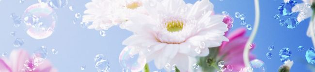 xｘシィータxｘ's header image