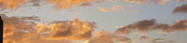 プチプラス's header image