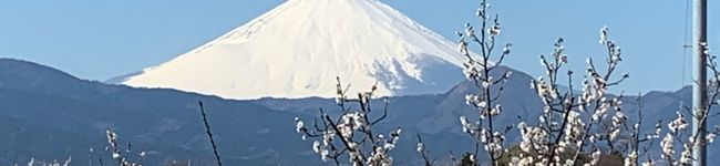 ゆかりん＠'s header image