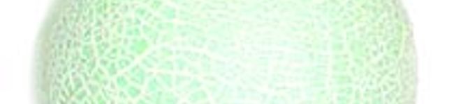 めろんchan's header image