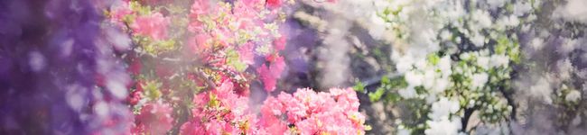 1614's header image