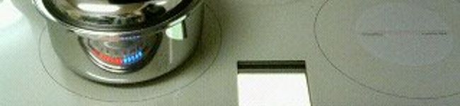 けんせいのはは's header image
