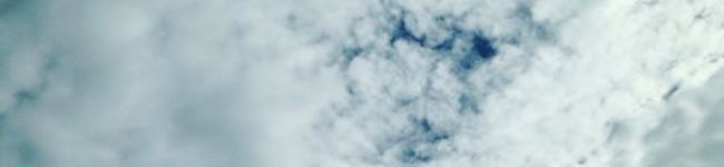 spica830's header image